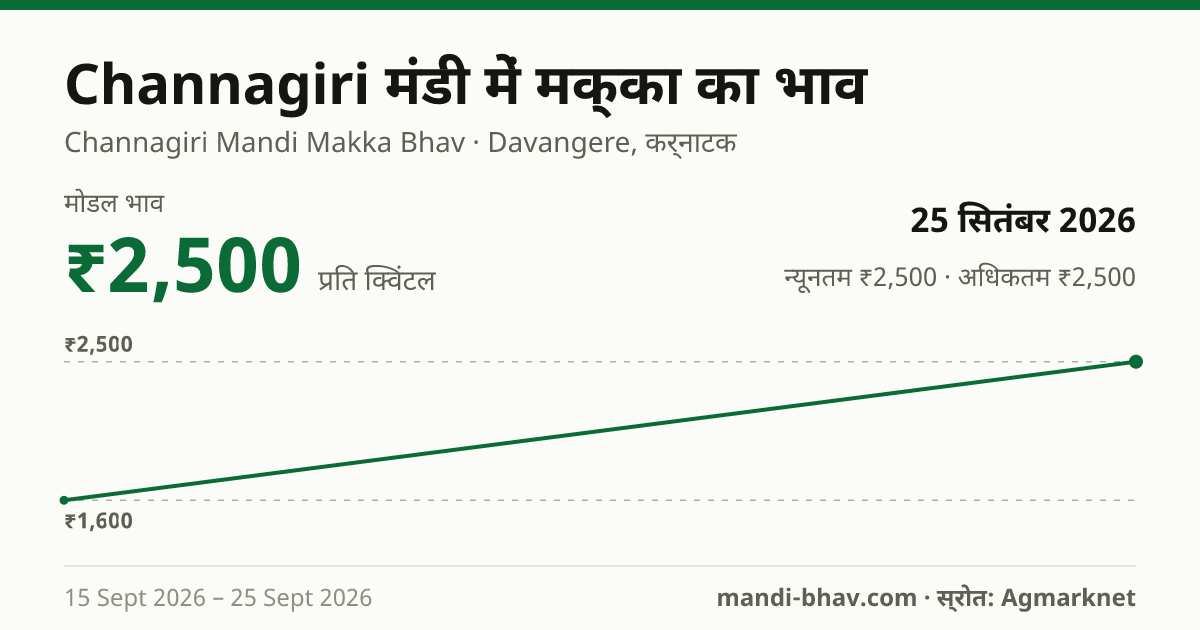 Channagiri मंडी में मक्का का भाव 25 सितंबर 2026: मोडल ₹2,500 प्रति क्विंटल, भाव के रुझान का चार्ट