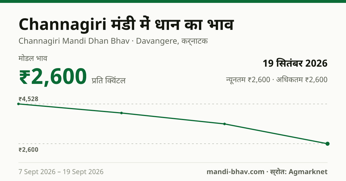 Channagiri मंडी में धान का भाव 19 सितंबर 2026: मोडल ₹2,600 प्रति क्विंटल, भाव के रुझान का चार्ट