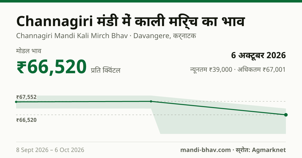 Channagiri मंडी में काली मिर्च का भाव 6 अक्टूबर 2026: मोडल ₹66,520 प्रति क्विंटल, भाव के रुझान का चार्ट