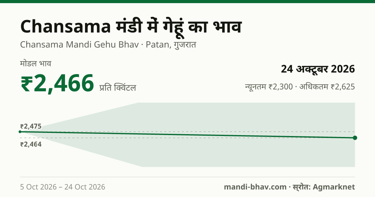 Chansama मंडी में गेहूं का भाव 24 अक्टूबर 2026: मोडल ₹2,466 प्रति क्विंटल, भाव के रुझान का चार्ट