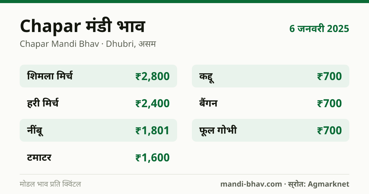 Chapar मंडी भाव 6 जनवरी 2025: फसलवार मोडल रेट प्रति क्विंटल