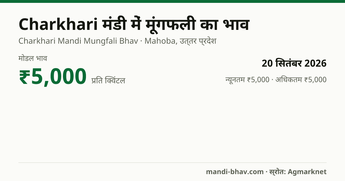Charkhari मंडी में मूंगफली का भाव 20 सितंबर 2026: मोडल ₹5,000 प्रति क्विंटल, भाव के रुझान का चार्ट