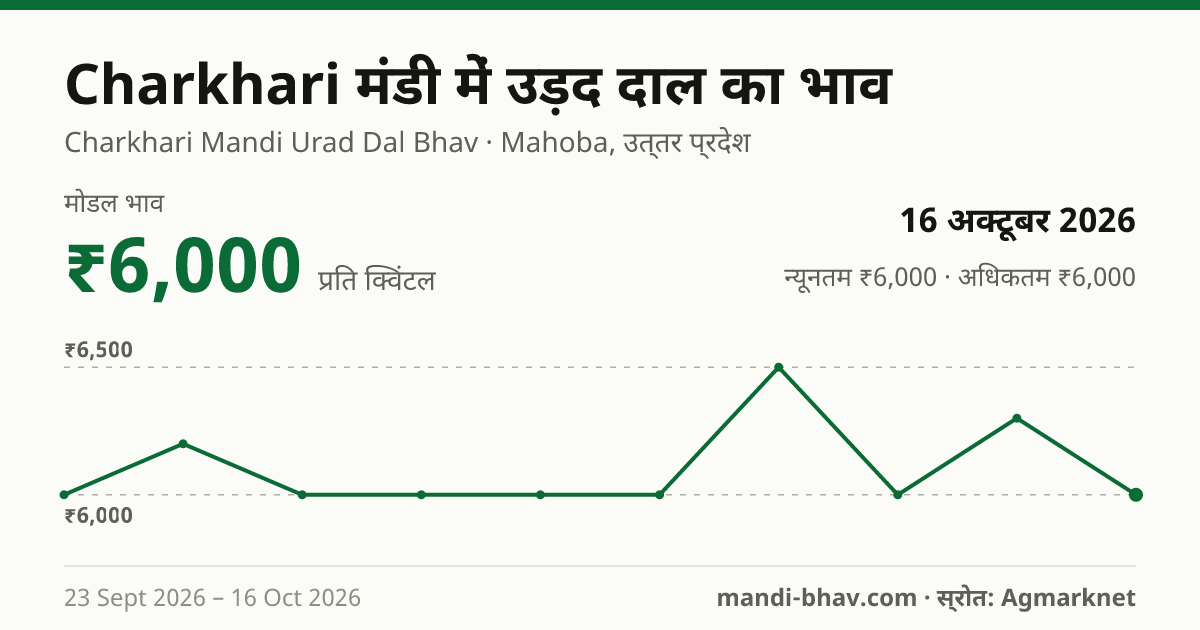 Charkhari मंडी में उड़द दाल का भाव 16 अक्टूबर 2026: मोडल ₹6,000 प्रति क्विंटल, भाव के रुझान का चार्ट