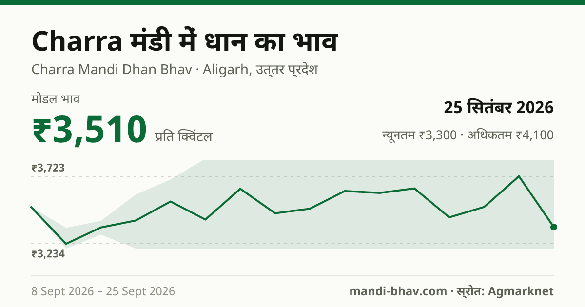 Charra मंडी में धान का भाव 25 सितंबर 2026: मोडल ₹3,510 प्रति क्विंटल, भाव के रुझान का चार्ट