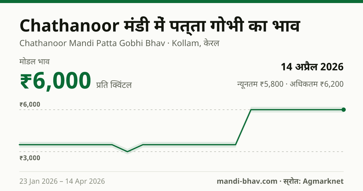Chathanoor मंडी में पत्ता गोभी का भाव 14 अप्रैल 2026: मोडल ₹6,000 प्रति क्विंटल, भाव के रुझान का चार्ट