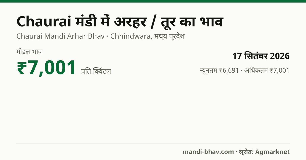 Chaurai मंडी में अरहर / तूर का भाव 17 सितंबर 2026: मोडल ₹7,001 प्रति क्विंटल, भाव के रुझान का चार्ट