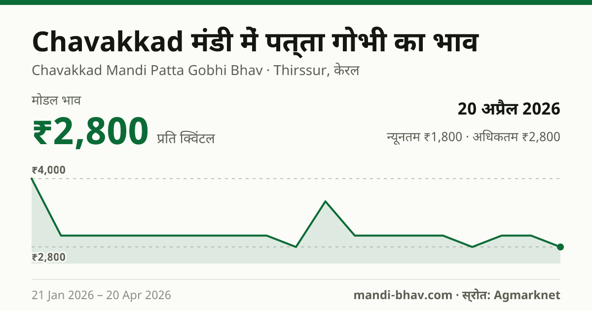 Chavakkad मंडी में पत्ता गोभी का भाव 20 अप्रैल 2026: मोडल ₹2,800 प्रति क्विंटल, भाव के रुझान का चार्ट