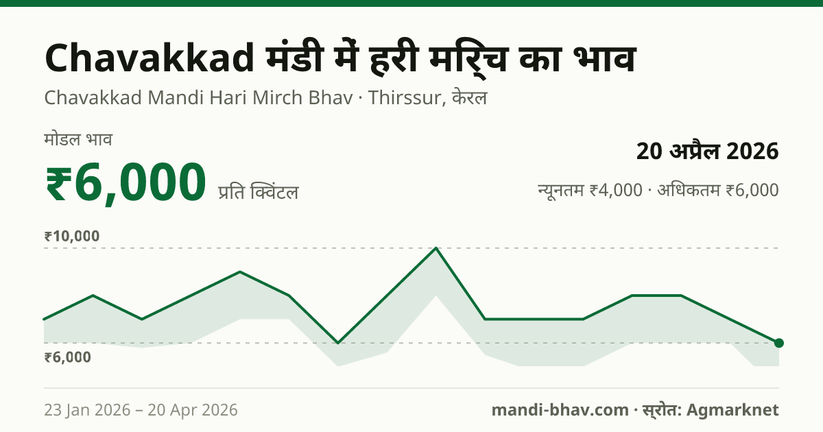 Chavakkad मंडी में हरी मिर्च का भाव 20 अप्रैल 2026: मोडल ₹6,000 प्रति क्विंटल, भाव के रुझान का चार्ट