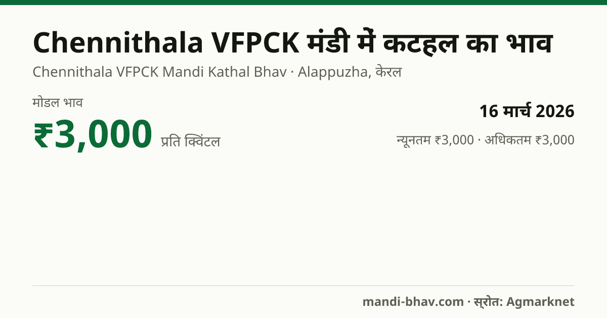 Chennithala VFPCK मंडी में कटहल का भाव 16 मार्च 2026: मोडल ₹3,000 प्रति क्विंटल, भाव के रुझान का चार्ट