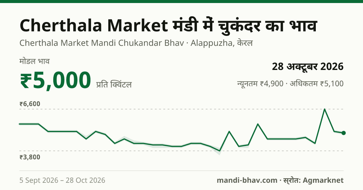 Cherthala Market मंडी में चुकंदर का भाव 28 अक्टूबर 2026: मोडल ₹5,000 प्रति क्विंटल, भाव के रुझान का चार्ट