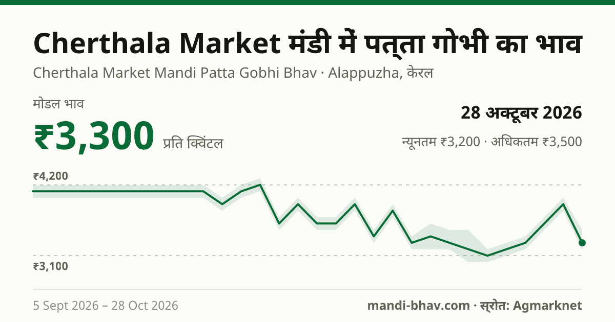 Cherthala Market मंडी में पत्ता गोभी का भाव 28 अक्टूबर 2026: मोडल ₹3,300 प्रति क्विंटल, भाव के रुझान का चार्ट