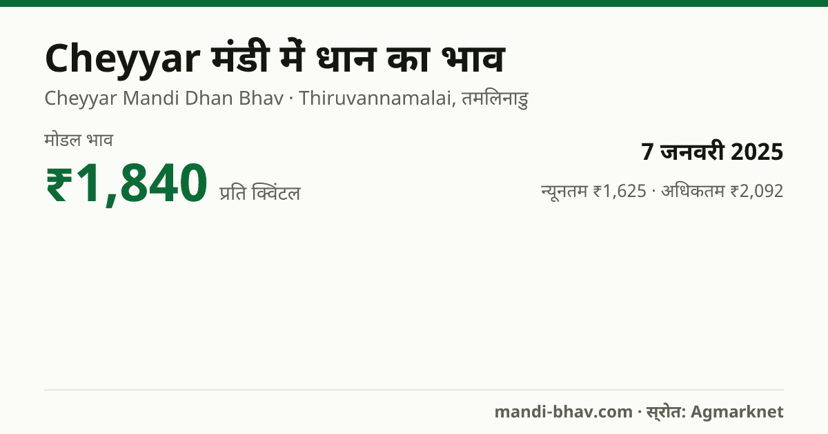 Cheyyar मंडी में धान का भाव 7 जनवरी 2025: मोडल ₹1,840 प्रति क्विंटल, भाव के रुझान का चार्ट