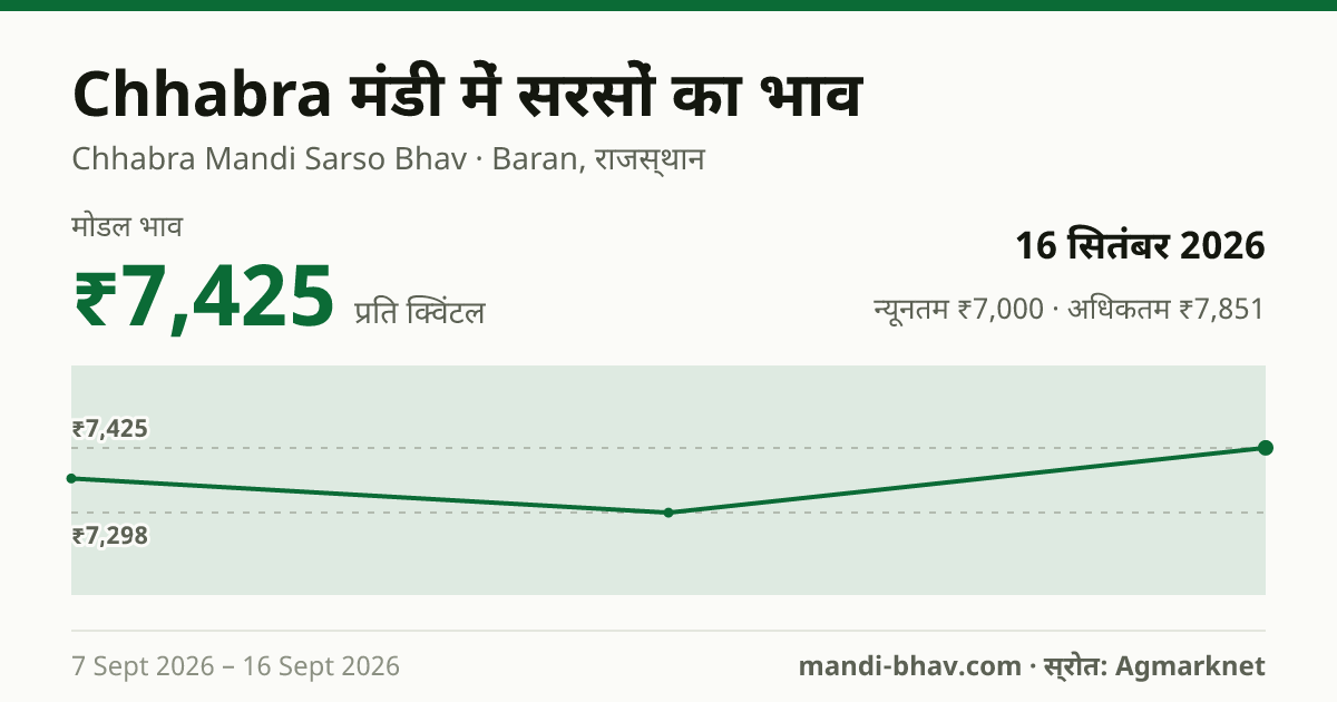Chhabra मंडी में सरसों का भाव 16 सितंबर 2026: मोडल ₹7,425 प्रति क्विंटल, भाव के रुझान का चार्ट
