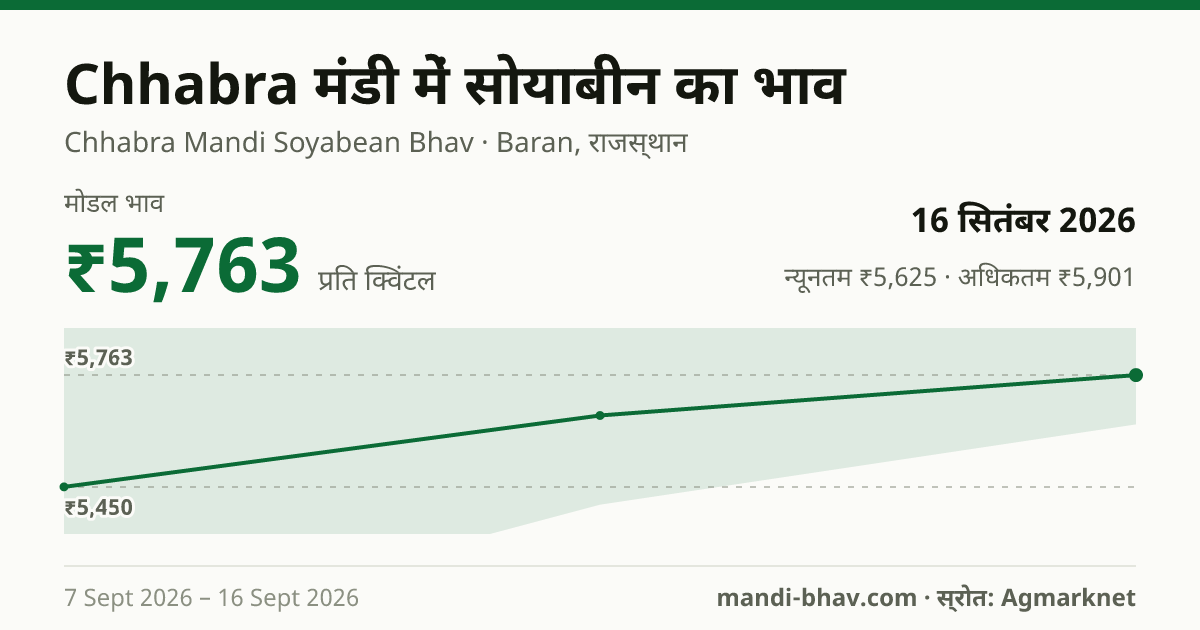 Chhabra मंडी में सोयाबीन का भाव 16 सितंबर 2026: मोडल ₹5,763 प्रति क्विंटल, भाव के रुझान का चार्ट
