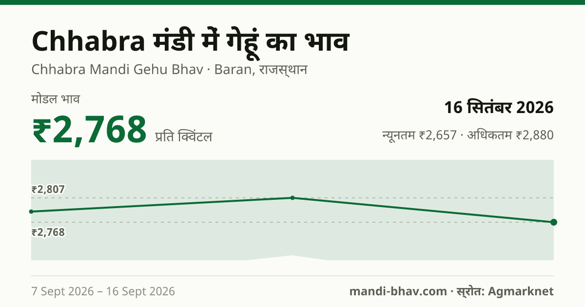 Chhabra मंडी में गेहूं का भाव 16 सितंबर 2026: मोडल ₹2,768 प्रति क्विंटल, भाव के रुझान का चार्ट