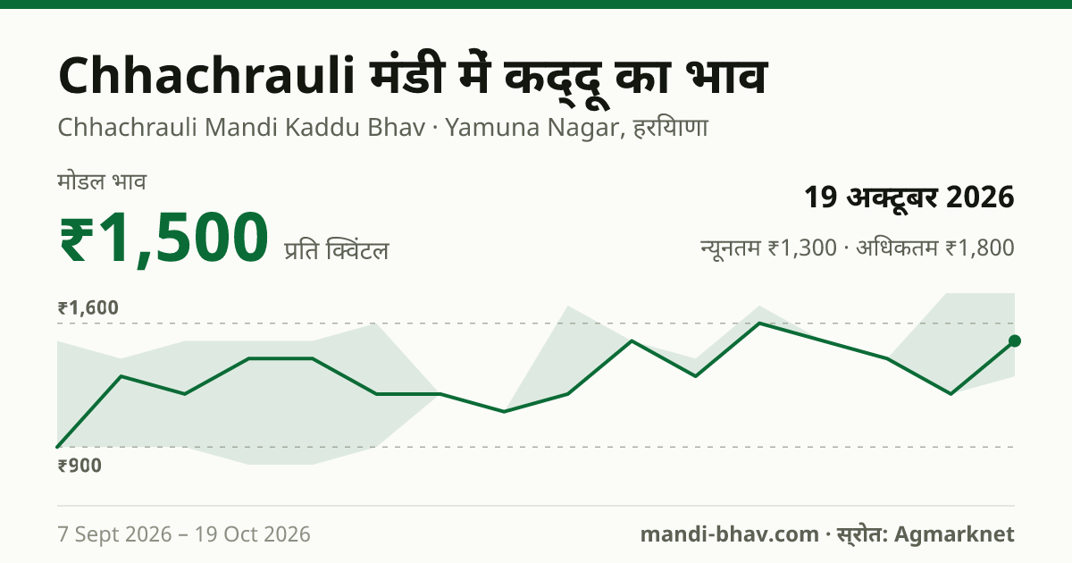 Chhachrauli मंडी में कद्दू का भाव 19 अक्टूबर 2026: मोडल ₹1,500 प्रति क्विंटल, भाव के रुझान का चार्ट