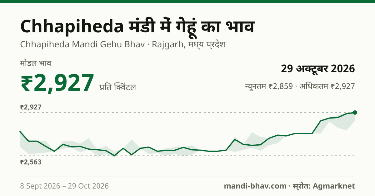Chhapiheda मंडी में गेहूं का भाव 29 अक्टूबर 2026: मोडल ₹2,927 प्रति क्विंटल, भाव के रुझान का चार्ट
