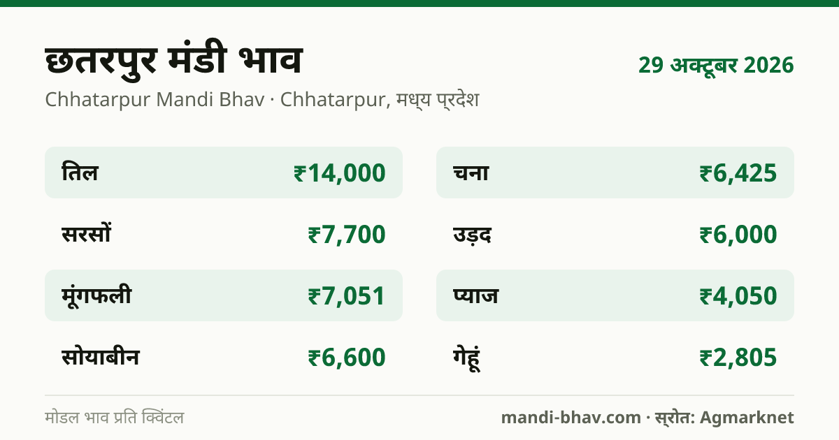 छतरपुर मंडी भाव 29 अक्टूबर 2026: फसलवार मोडल रेट प्रति क्विंटल