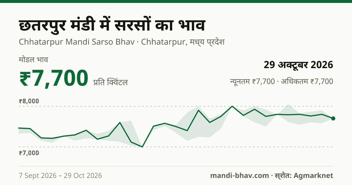 छतरपुर मंडी में सरसों का भाव 29 अक्टूबर 2026: मोडल ₹7,700 प्रति क्विंटल, भाव के रुझान का चार्ट