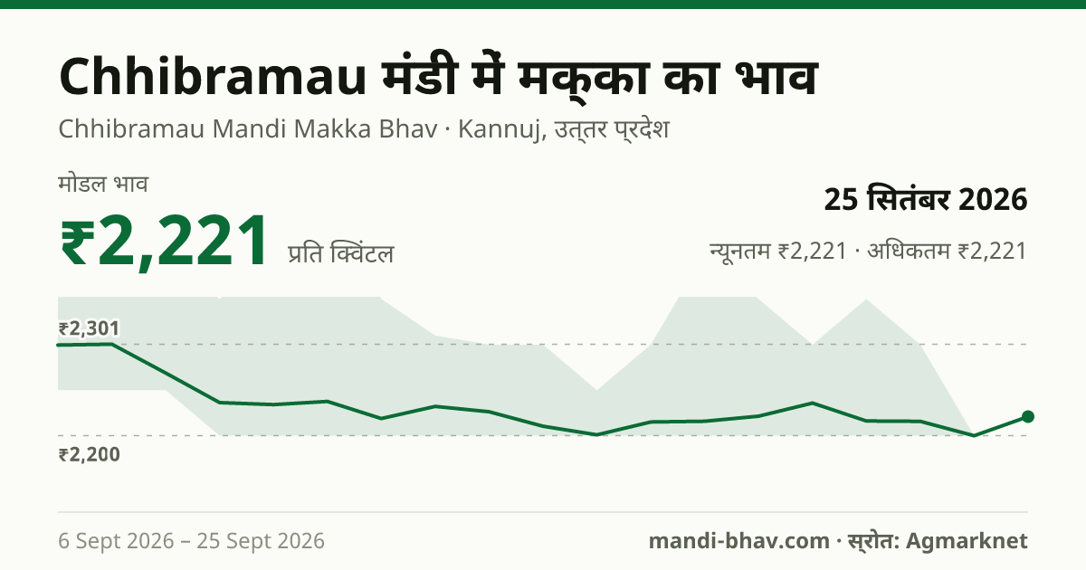 Chhibramau मंडी में मक्का का भाव 25 सितंबर 2026: मोडल ₹2,221 प्रति क्विंटल, भाव के रुझान का चार्ट