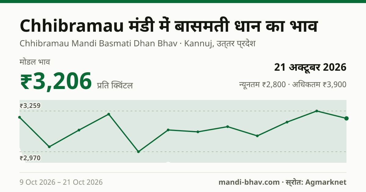 Chhibramau मंडी में Paddy(Basmati) का भाव 21 अक्टूबर 2026: मोडल ₹3,206 प्रति क्विंटल, भाव के रुझान का चार्ट