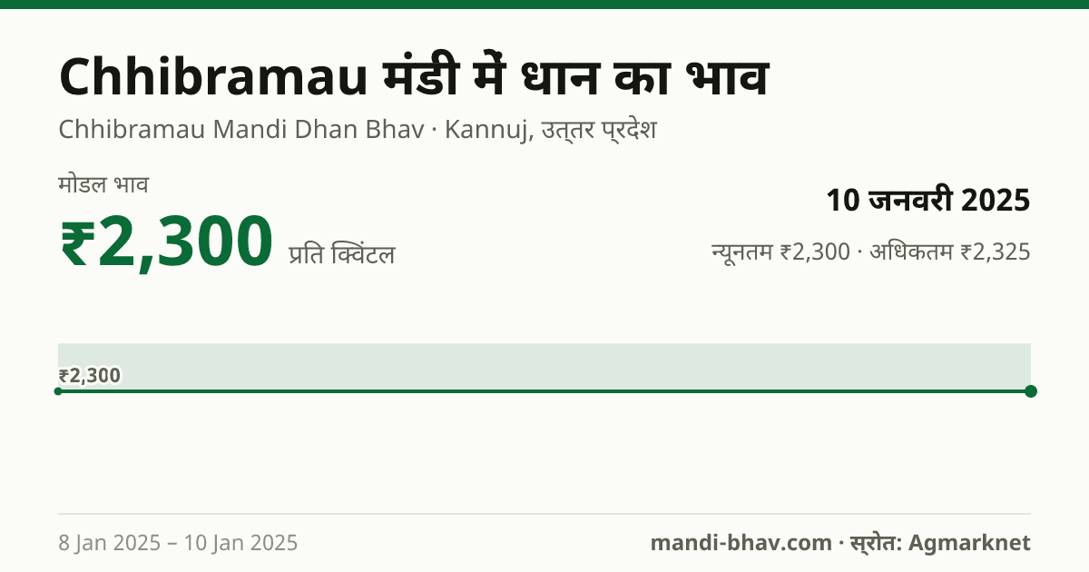 Chhibramau मंडी में धान का भाव 10 जनवरी 2025: मोडल ₹2,300 प्रति क्विंटल, भाव के रुझान का चार्ट