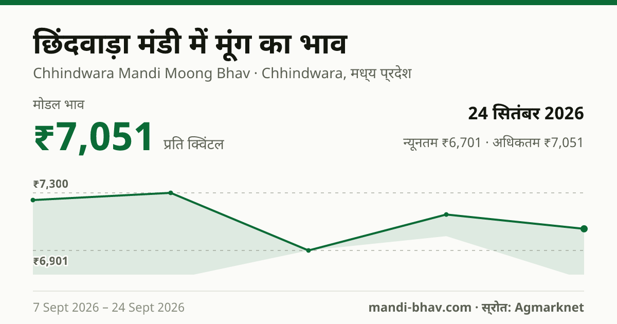 छिंदवाड़ा मंडी में मूंग का भाव 24 सितंबर 2026: मोडल ₹7,051 प्रति क्विंटल, भाव के रुझान का चार्ट