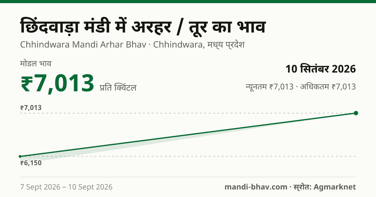 छिंदवाड़ा मंडी में अरहर / तूर का भाव 10 सितंबर 2026: मोडल ₹7,013 प्रति क्विंटल, भाव के रुझान का चार्ट
