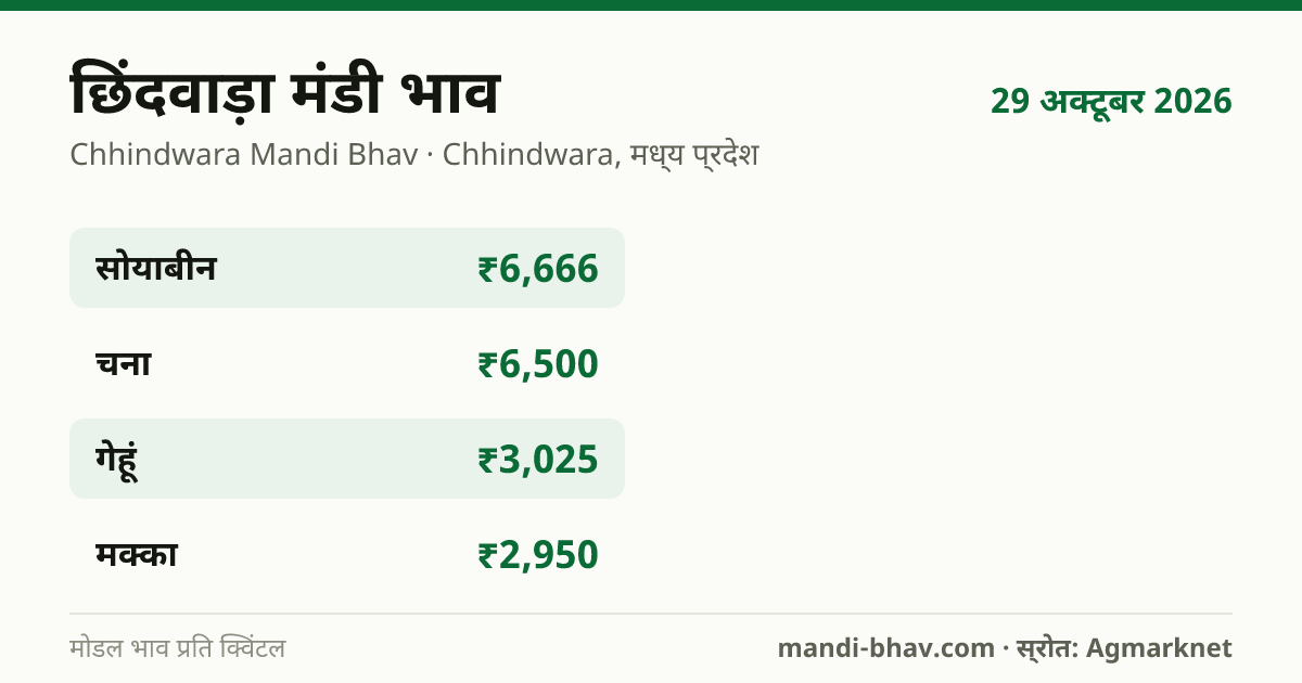 छिंदवाड़ा मंडी भाव 29 अक्टूबर 2026: फसलवार मोडल रेट प्रति क्विंटल