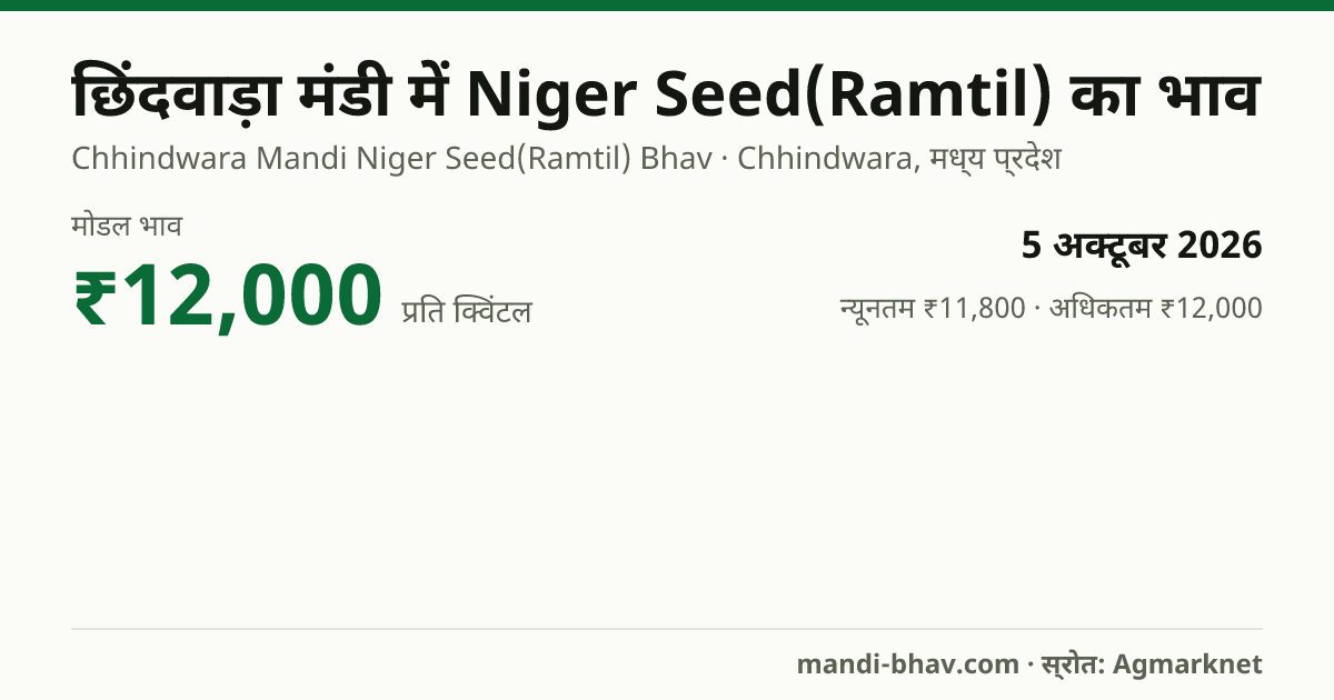 छिंदवाड़ा मंडी में Niger Seed(Ramtil) का भाव 5 अक्टूबर 2026: मोडल ₹12,000 प्रति क्विंटल, भाव के रुझान का चार्ट