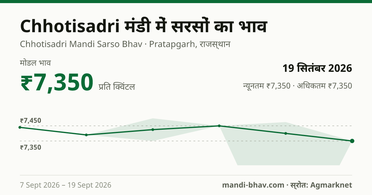 Chhotisadri मंडी में सरसों का भाव 19 सितंबर 2026: मोडल ₹7,350 प्रति क्विंटल, भाव के रुझान का चार्ट
