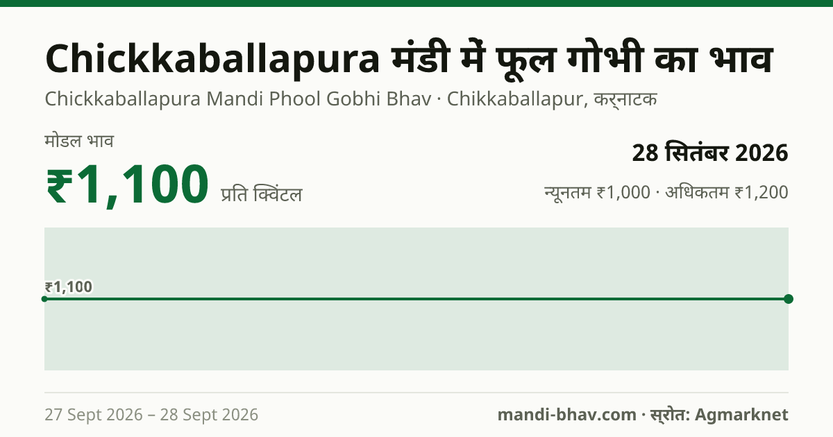 Chickkaballapura मंडी में फूल गोभी का भाव 28 सितंबर 2026: मोडल ₹1,100 प्रति क्विंटल, भाव के रुझान का चार्ट