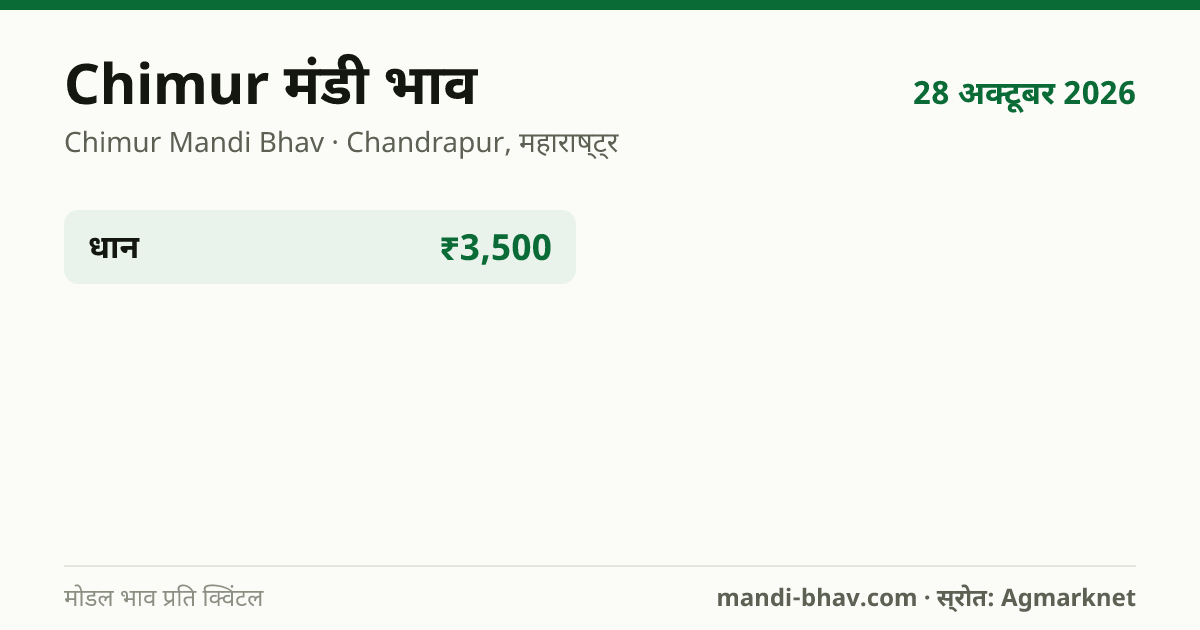 Chimur मंडी भाव 28 अक्टूबर 2026: फसलवार मोडल रेट प्रति क्विंटल