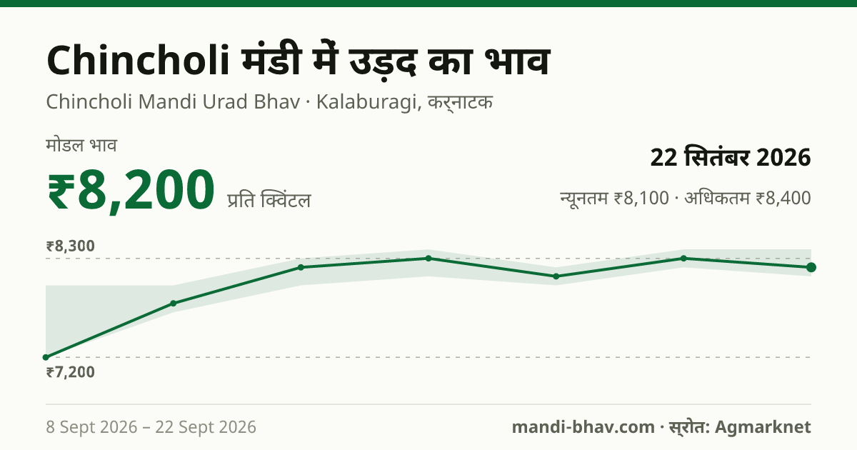 Chincholi मंडी में उड़द का भाव 22 सितंबर 2026: मोडल ₹8,200 प्रति क्विंटल, भाव के रुझान का चार्ट