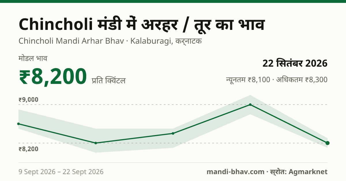 Chincholi मंडी में अरहर / तूर का भाव 22 सितंबर 2026: मोडल ₹8,200 प्रति क्विंटल, भाव के रुझान का चार्ट