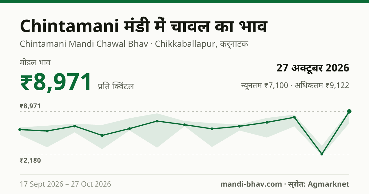 Chintamani मंडी में चावल का भाव 27 अक्टूबर 2026: मोडल ₹8,971 प्रति क्विंटल, भाव के रुझान का चार्ट