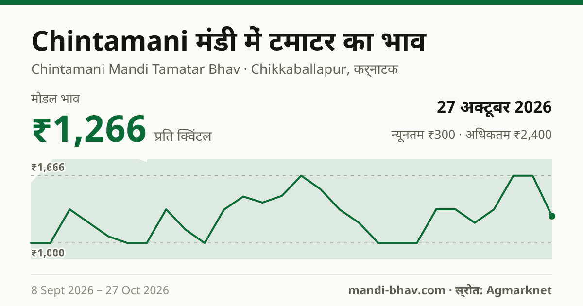 Chintamani मंडी में टमाटर का भाव 27 अक्टूबर 2026: मोडल ₹1,266 प्रति क्विंटल, भाव के रुझान का चार्ट