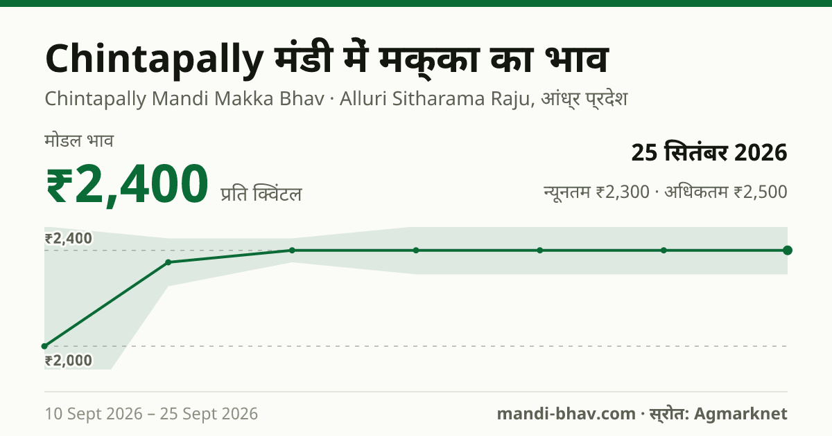 Chintapally मंडी में मक्का का भाव 25 सितंबर 2026: मोडल ₹2,400 प्रति क्विंटल, भाव के रुझान का चार्ट