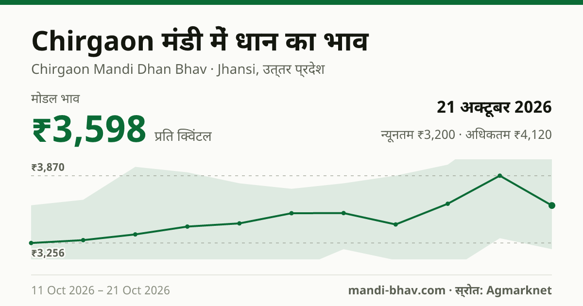 Chirgaon मंडी में धान का भाव 21 अक्टूबर 2026: मोडल ₹3,598 प्रति क्विंटल, भाव के रुझान का चार्ट