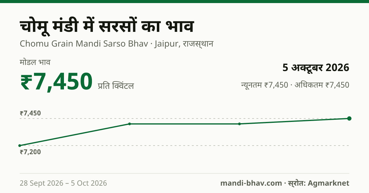 Chomu Grain मंडी में सरसों का भाव 5 अक्टूबर 2026: मोडल ₹7,450 प्रति क्विंटल, भाव के रुझान का चार्ट