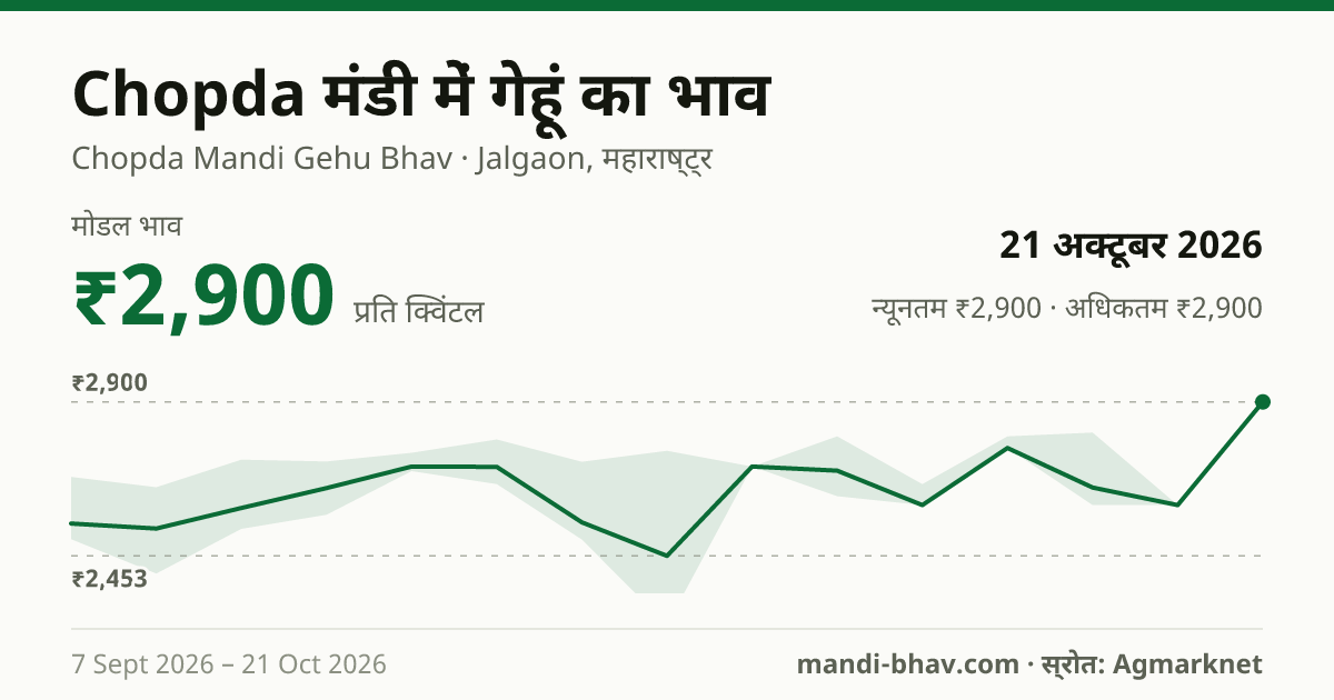 Chopda मंडी में गेहूं का भाव 21 अक्टूबर 2026: मोडल ₹2,900 प्रति क्विंटल, भाव के रुझान का चार्ट