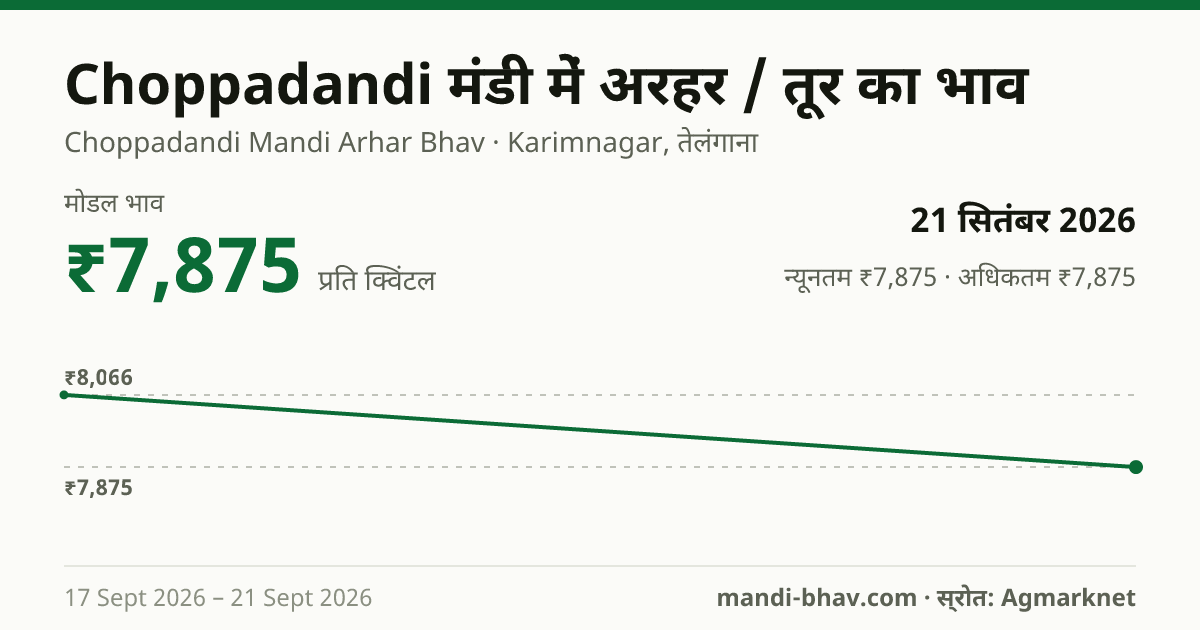 Choppadandi मंडी में अरहर / तूर का भाव 21 सितंबर 2026: मोडल ₹7,875 प्रति क्विंटल, भाव के रुझान का चार्ट