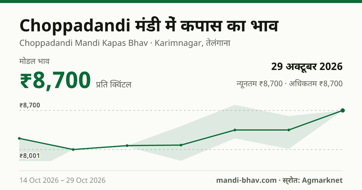 Choppadandi मंडी में कपास का भाव 29 अक्टूबर 2026: मोडल ₹8,700 प्रति क्विंटल, भाव के रुझान का चार्ट