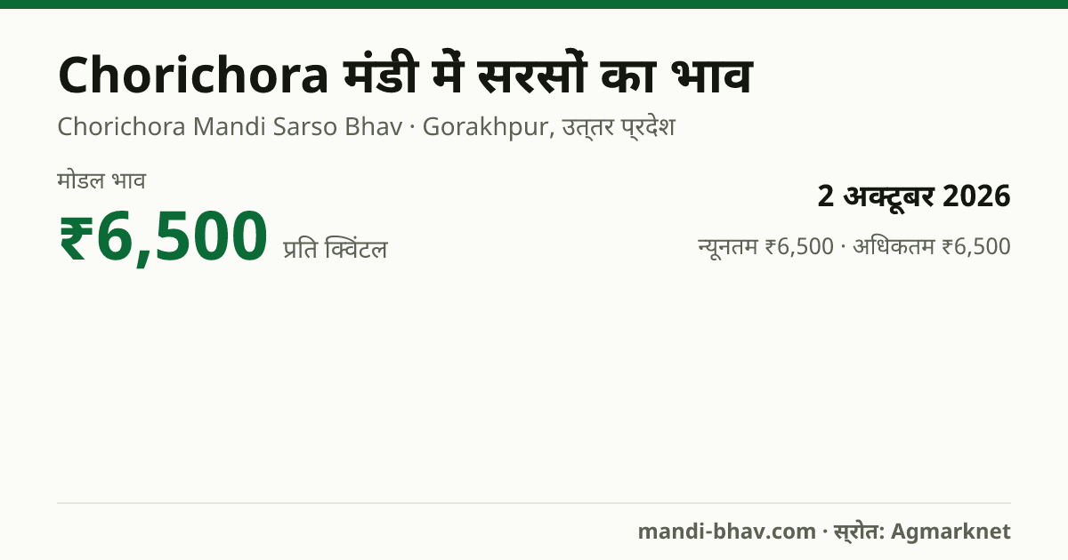 Chorichora मंडी में सरसों का भाव 2 अक्टूबर 2026: मोडल ₹6,500 प्रति क्विंटल, भाव के रुझान का चार्ट