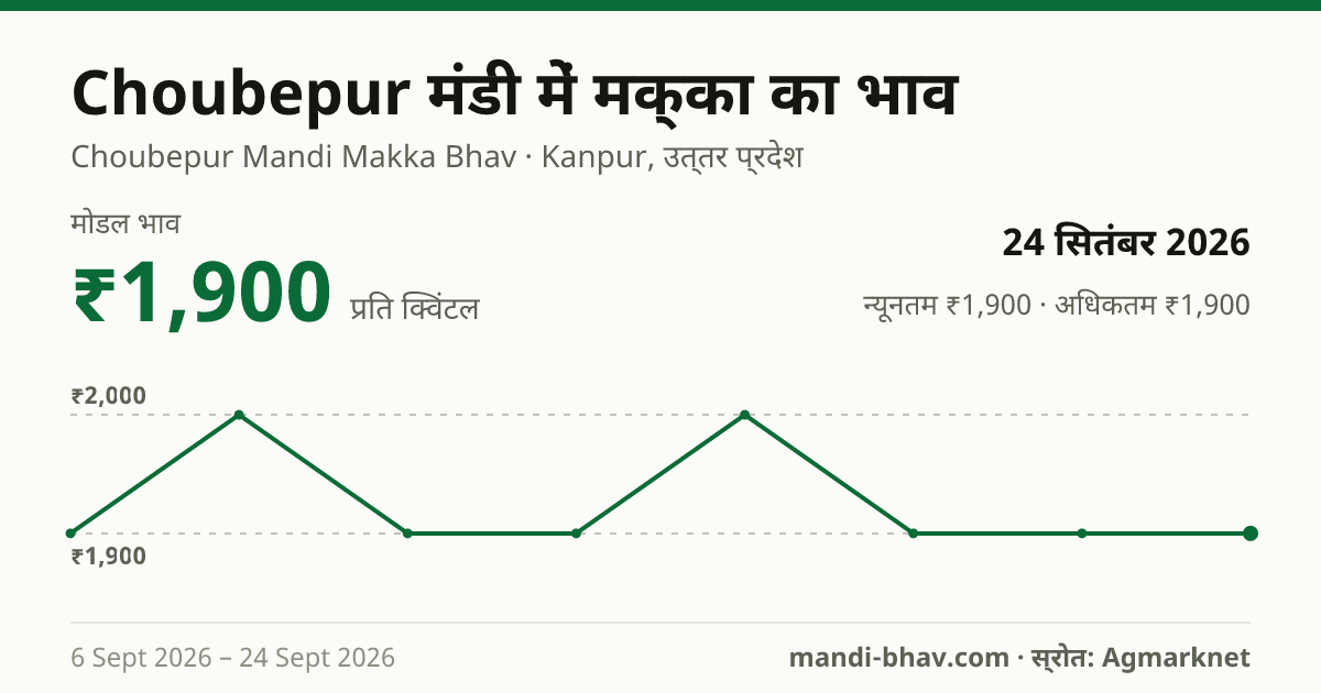 Choubepur मंडी में मक्का का भाव 24 सितंबर 2026: मोडल ₹1,900 प्रति क्विंटल, भाव के रुझान का चार्ट