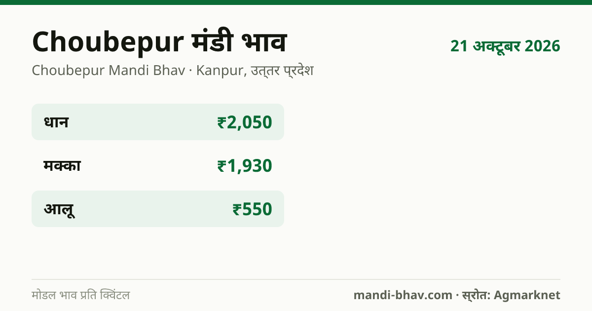 Choubepur मंडी भाव 21 अक्टूबर 2026: फसलवार मोडल रेट प्रति क्विंटल
