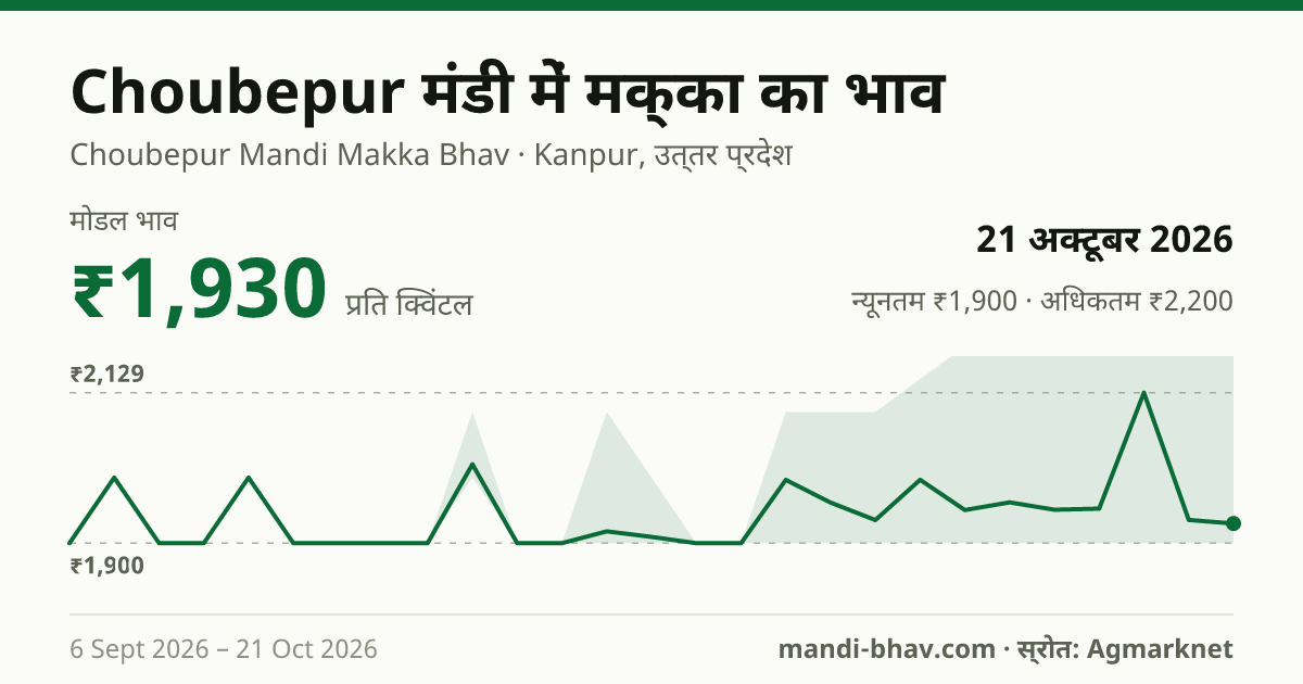 Choubepur मंडी में मक्का का भाव 21 अक्टूबर 2026: मोडल ₹1,930 प्रति क्विंटल, भाव के रुझान का चार्ट