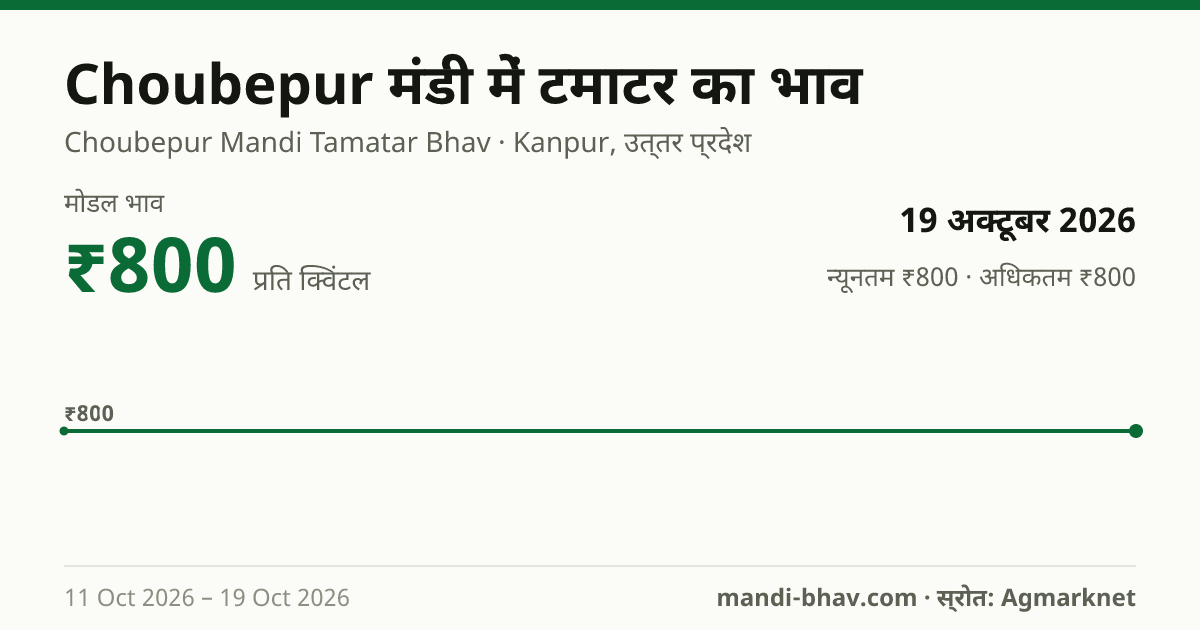 Choubepur मंडी में टमाटर का भाव 19 अक्टूबर 2026: मोडल ₹800 प्रति क्विंटल, भाव के रुझान का चार्ट