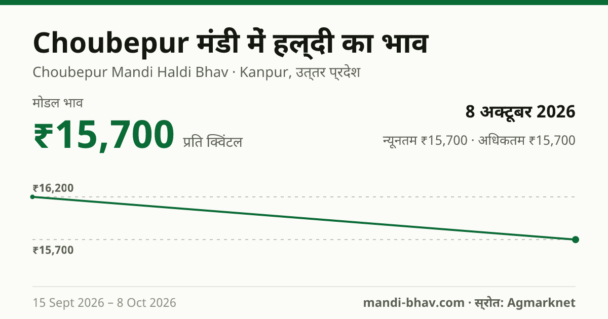 Choubepur मंडी में हल्दी का भाव 8 अक्टूबर 2026: मोडल ₹15,700 प्रति क्विंटल, भाव के रुझान का चार्ट