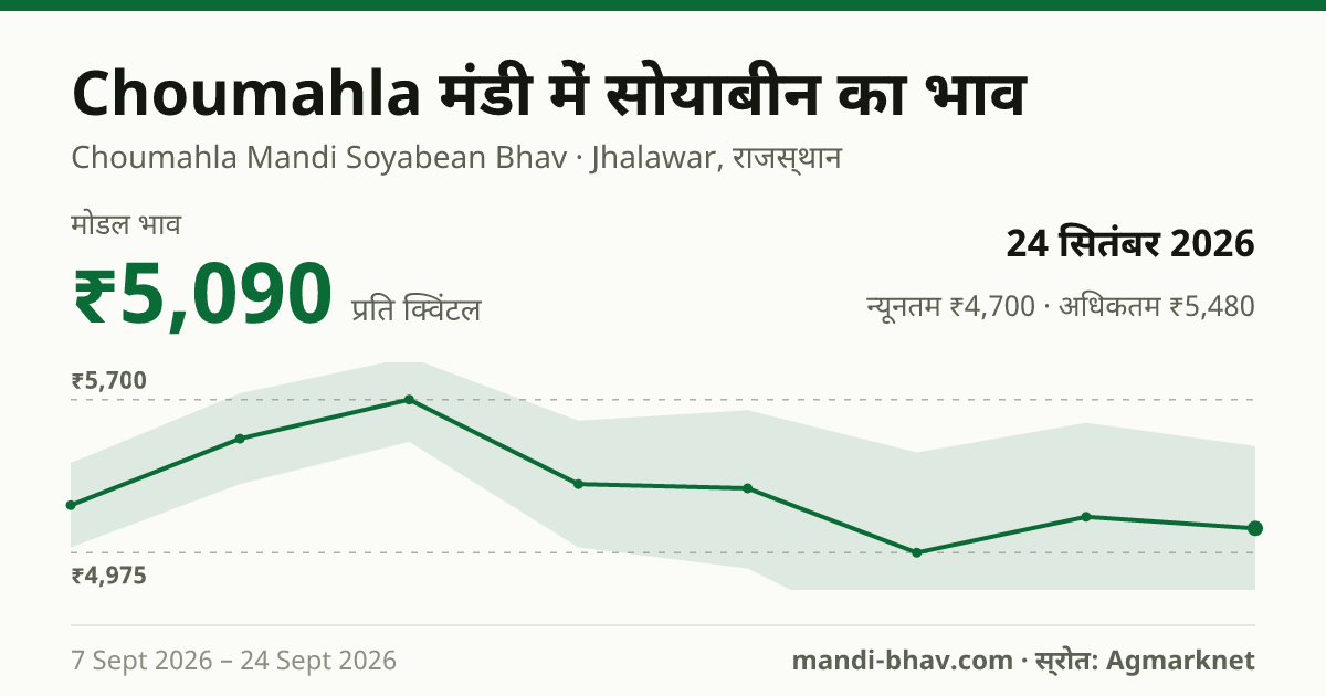 Choumahla मंडी में सोयाबीन का भाव 24 सितंबर 2026: मोडल ₹5,090 प्रति क्विंटल, भाव के रुझान का चार्ट